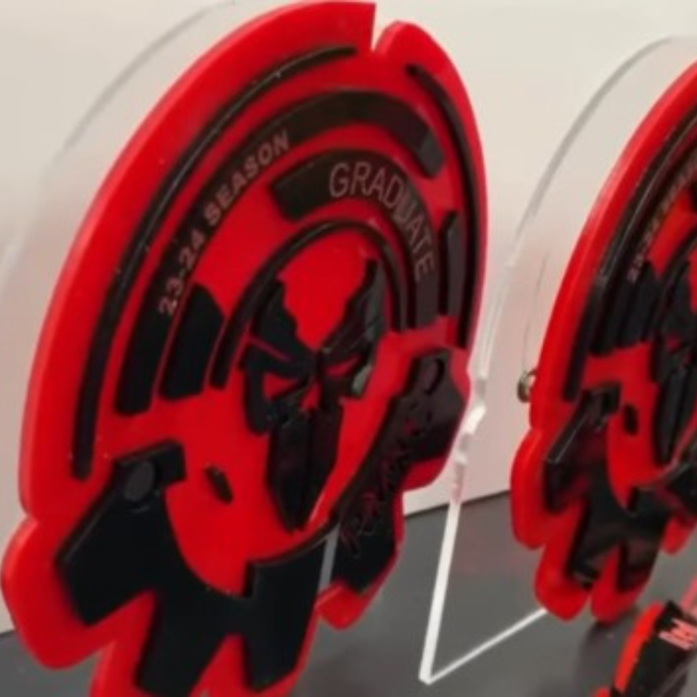 Wrestling Tournament Award